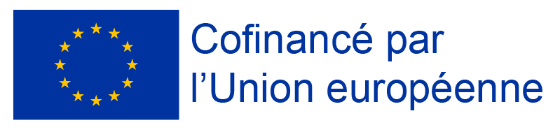 Co-funded by the European Union logo — Koddex supporter